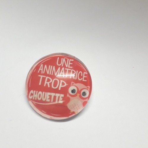 Broche "une animatrice  trop chouette"