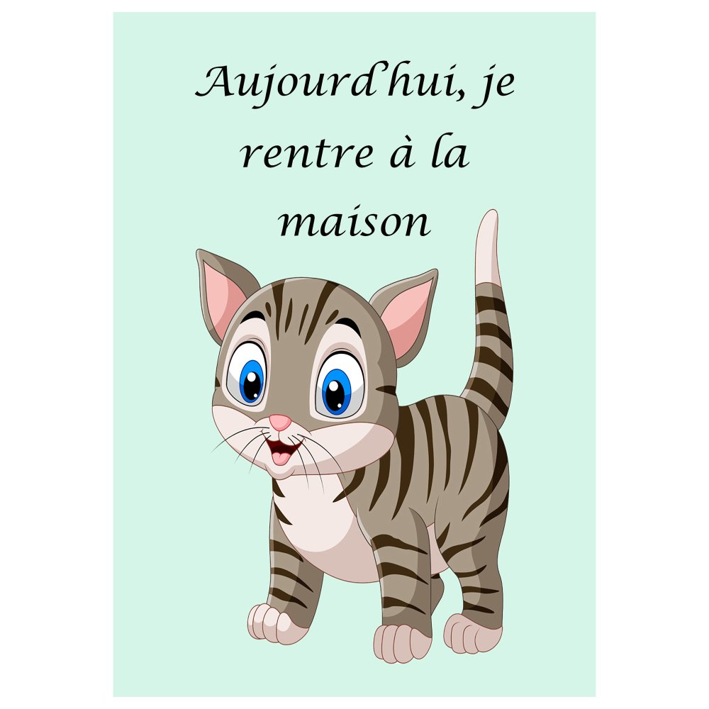 Carte Photo Souvenir Bebe Carte Etape Bebe Un Grand Marche Carte Photo Souvenir Bebe Carte Etape Bebe Un Grand Marche