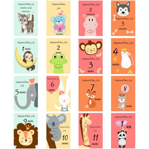 Cartes Etapes Bebe Premiere Annee Carte Etape Mois Par Mois Bebe Un Grand Marche