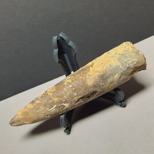 Rostre de bélemnite de vendée, 80 mm