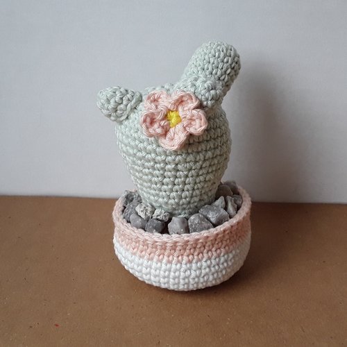 Cactus fleuri au crochet, amigurumi cactus