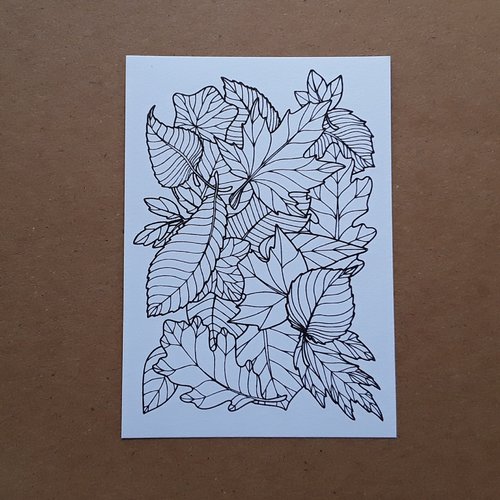 Des papiers et images digitales