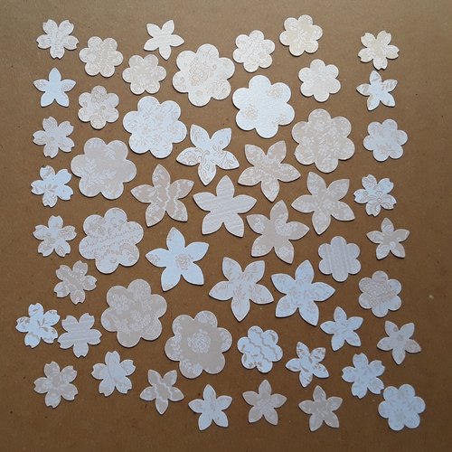 Lot de 51 découpes papier fleurs variées romantiques