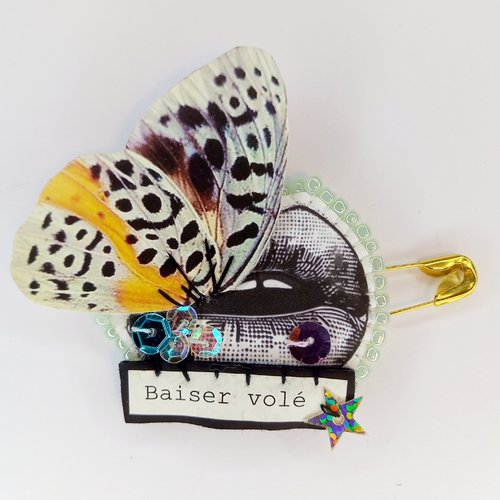 Broche "baiser volé"
