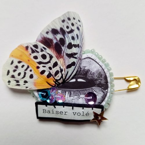 Broche "baiser volé"