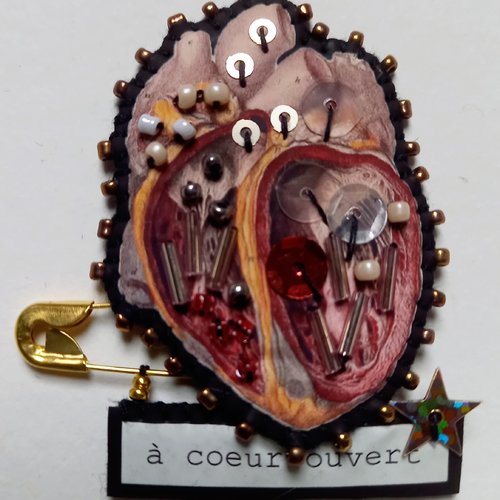 Broche "a coeur ouvert"