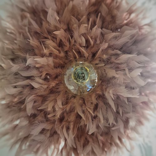 Suspension plumes, dahlia, la classique, vieux rose