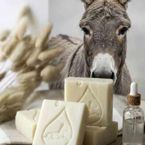 Savon lait d'anesse bio | 10% de lait d'ânesse | fabrication artisanale à la ferme | douceur et soin naturel