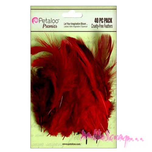 Plumes rouge petaloo embellissement scrapbooking carterie - 40 pièces