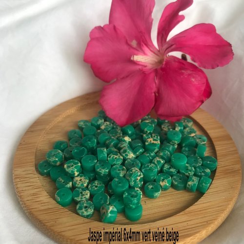 20 perles vert junggle  jaspe impérial palet plat 6x4mm