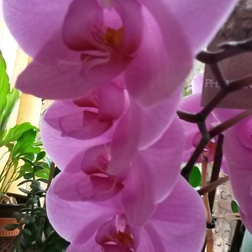 Commande réservée à laurence