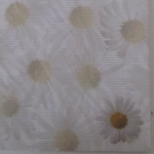 Sachet de 25 feuilles de papier fleuri "marguerites, pâquerettes" format a4