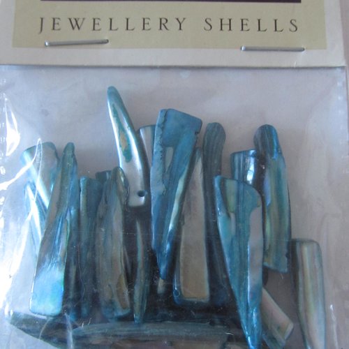 Sachet 29 grammes de pendentifs en nacre en forme de corne ou de dent - de couleur bleue vert