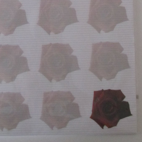 Sachet de 25 feuilles de papier fleuri "roses rouges" format a4