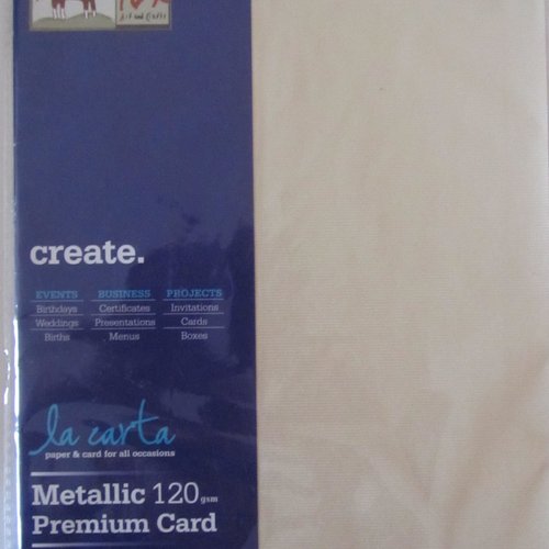 Pack de 10 feuilles de papier rainuré - couleur écru  métallique - format a4 - 120 gsm