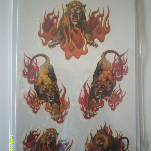 Pochette de tatouages - tattoos temporaires représentant un tigre à dents de sabre et un lion
