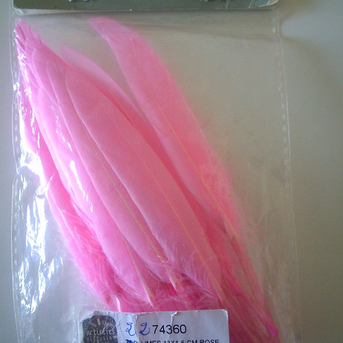 Lot de 22 plumes de couleur rose - dimensions 13 x 1,5 cm environ