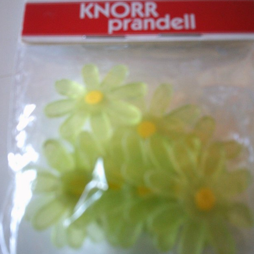 Lot de 10 fleurs décoratives en acrylique de couleur vert clair - knorr prandell