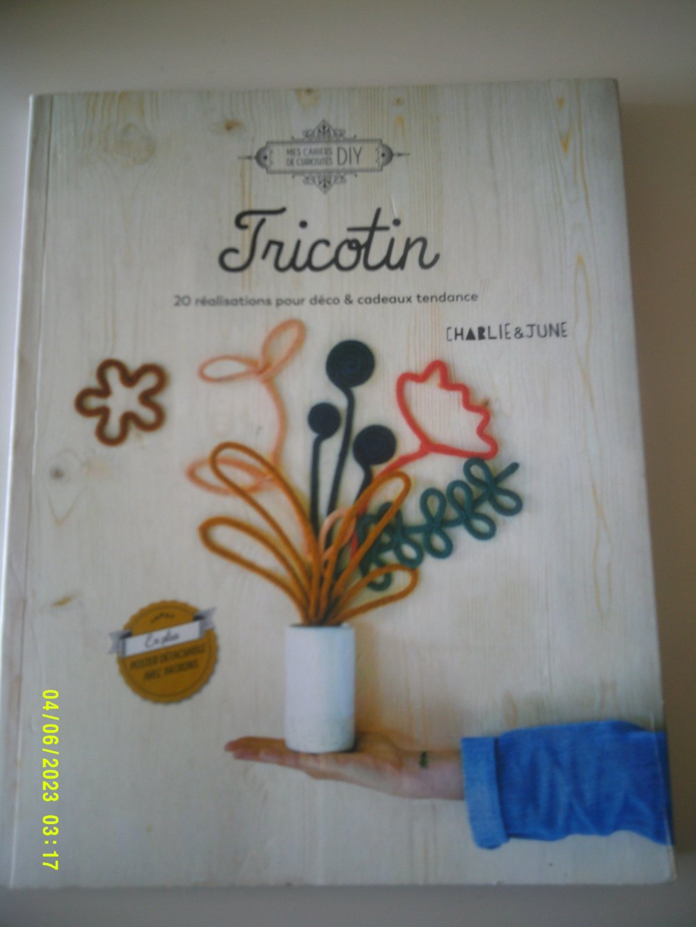 Livre : tricotin - 20 réalisations pour déco & cadeaux tendance
