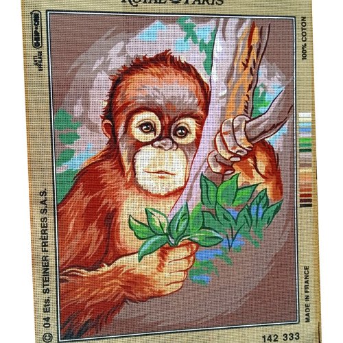 Toile à canevas - bébé singe - royal paris - grand format (tableau) - 61x45 animaux