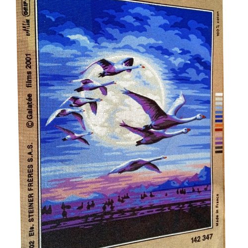 Toile à canevas - vol de nuit - royal paris - grand format (tableau) - 61x45 animaux