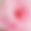 Grande fleur tissu rose 7cm