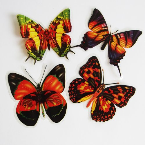 Papillons scrapbooking embellisement plexiglass x4