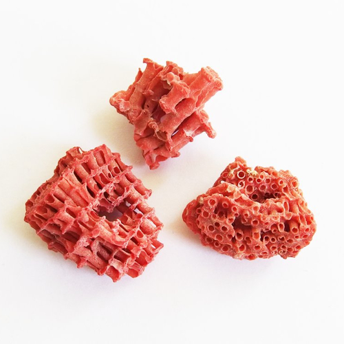 Perles corail rouge naturel coquillage rare tubipora musica percés x3