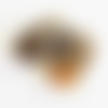 Grosses perles coquillages cauris 4cm x2