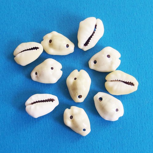 Perles coquillages cauris blanc percés deux trous 1,8cm lot de 10