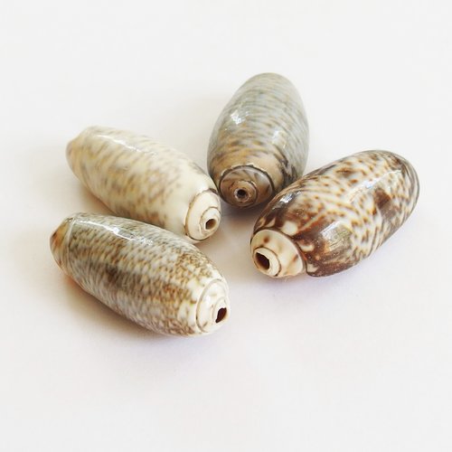 Grosses perles coquillages cauris percés top qualité 3cm x4