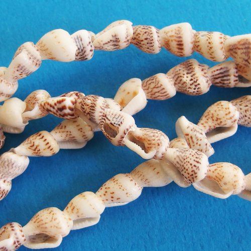 45 perles coquillages spirales percés 1cm