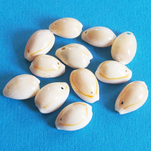 Douze perles coquillages cauris blanc percés 1,3cm