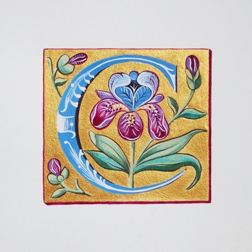 Enluminure sur papier - lettrine c - or minéral et pigments