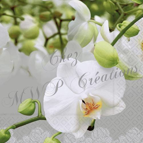 Serviette en papier 33x33 cm par lot de 5 - " orchid festival " 