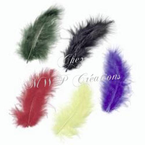 Assortiment de plumes de marabout - couleurs vives -