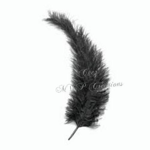Grande plume "d'autruche" 25-35cm - noire -