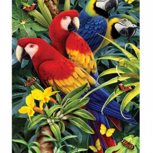 Tableau peinture par numéros "les perroquets"