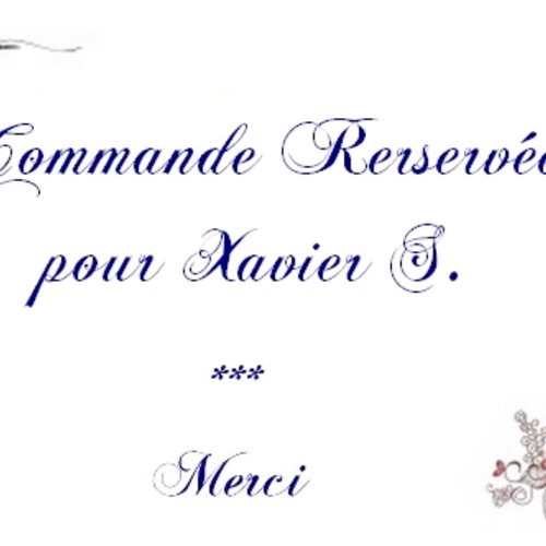 Commande personnalisée réservée à xavier s.