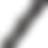 Ruban de sequins et cordon lurex noir 35mm  / large dentelle mariage, ruban broderie dentelle, dentelle brodée