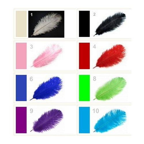 3 grandes plumes autruche 19-25cm / nombreux coloris / plumes décoratives, plumes pour chapeau, plumes pour déguisement ou carnaval