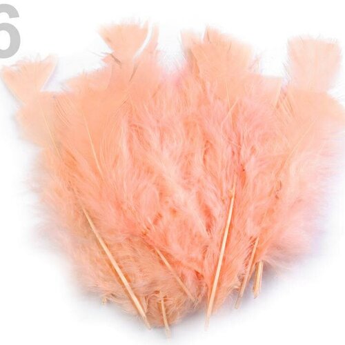 40 plumes de dinde 11-17cm / nombreux coloris / plumes décoratives, plumes couleur, plumes pour chapeau, plumes pour déguisement ou carnaval