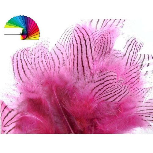 Plumes rayées 4-12cm / nombreux coloris / plumes décoratives, plumes couleur, plumes pour chapeau, plumes pour déguisement ou carnaval