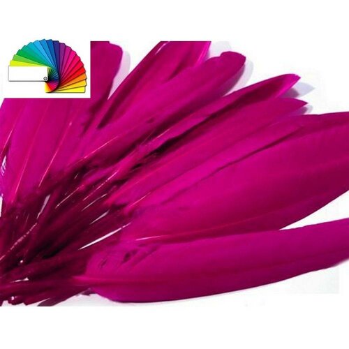 Plumes de canard 9-14cm / nombreux coloris / plumes décoratives, plumes couleur, plumes pour chapeau, plumes pour déguisement ou carnaval