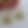 Boucles d'oreilles  - livraison offerte