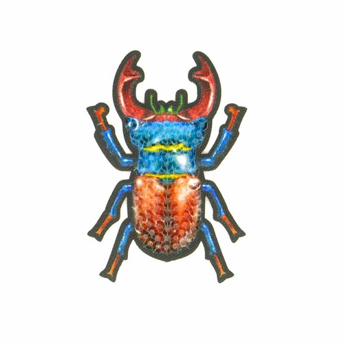 Ecusson thermocollant insecte scarabée 6x4cm