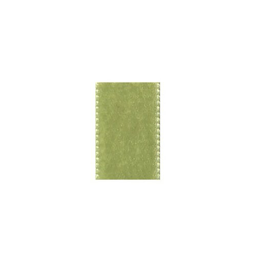 Disquette 10m ruban velours vert epinard