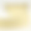 Bobine 20m ruban traits irisés 25 mm beige