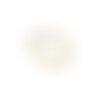 Bobine 25m cordon tricoté 4.5mm beige clair