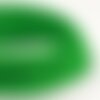 Bobine 50m cordon damier polyester 6mm vert foncé